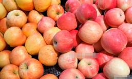 Khi mua táo hãy nhớ chọn những quả 'mẹ'! Chú ý điểm này và chọn đúng, tất cả những quả bạn mua sẽ có vị ngọt, giòn 