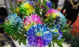 Mua cây cảnh chơi Tết 2025 cần tuyệt đối tránh những cây này kẻo năm mới xui rủi, chặn đứng tài lộc