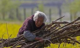 Những người già có thể sống đến 90 tuổi về cơ bản sẽ ngừng làm ba việc này khi họ 70 tuổi