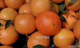 Khi mua cam nhất định phải chọn cam đực, một ông già trồng cam đã dạy tôi mẹo này, quả nào cũng thơm và ngọt