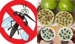 Mẹo đuổi muỗi siêu đơn giản: Cắm thứ này vào quả chanh, đặt ở góc nhà, muỗi nhiều đến đâu cũng phải 'chào thua'