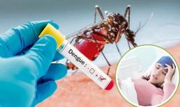 Loài vật nhỏ bằng hạt gạo lại khiến con người chết nhiều nhất, gây ra 619.000 ca tử vong/năm