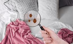 Bao lâu thì nên giặt ga trải giường 1 lần? Nhiều người không biết. Khuyến cáo không nên vượt quá thời gian “này”