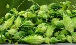 Trồng loại quả xấu xí, ăn đắng nghét, anh nông dân trẻ thu về 600 triệu đồng/năm