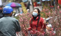 Mẹo chăm đào, quất không bị héo khi chưng trong nhà dịp Tết  