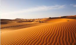 Sa mạc Sahara sâu bao nhiêu? Nếu bạn đào hết cát lên, bên dưới có gì?