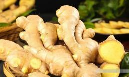 Đừng bảo quản gừng một cách tùy tiện. Hãy ghi nhớ 3 mẹo này. Gừng sẽ vẫn tươi sau nửa năm và không bị mốc hay nảy mầm