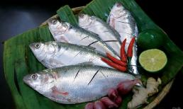 4 loại cá Việt bổ không kém cá hồi, mua đâu cũng có, giá cả lại phải chăng