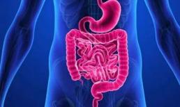 Tuổi thọ có liên quan đến tần suất đi tiêu! Bác sĩ: Nếu bạn đi đại tiện nhiều lần trong ngày, bạn sẽ khỏe mạnh hơn