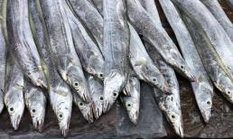 Người sành ăn tiết lộ 6 loại cá biển tự nhiên, không nhân tạo, thịt ngon mà giá lại phù hợp với túi tiền