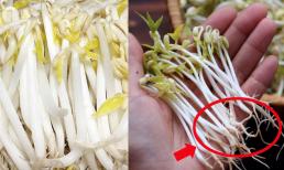 Vừa phát hiện 20 tấn giá đỗ ngâm chất cấm, ra chợ làm thế nào để nhận biết giá đỗ sạch? 