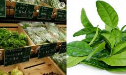 Loại lá quen thuộc ở Việt Nam 'xin là cho', không mất tiền mua, nhưng nước ngoài được bán với giá đắt đỏ gần 6,4 triệu