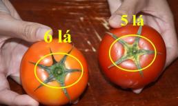 Chọn cà chua 5 lá hay 6 lá mới là 'chân ái' của bà nội trợ?