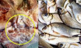 'Thịt lợn không mua thịt cổ, mua cá không mua cá diếc': Câu chuyện đằng sau lời khuyên của người xưa sẽ khiến bạn phải suy ngẫm