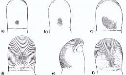 Tại sao trên thế giới không có dấu vân tay giống nhau?