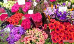 Khi bạn gặp ba loại hoa này ở chợ hoa, đừng mua chúng, dù có mang về nhà cũng không thể giữ được, thật lãng phí tiền bạc