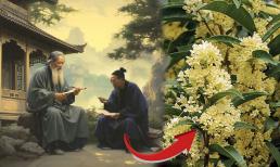 Có một cây được tổ tiên tôn quý, hợp đủ 5 mệnh, ai trồng trước nhà sẽ liên tiếp ba đời hưng vượng, tiếng thơm đồn xa