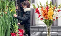 Cách chọn hoa lay ơn bền đẹp, tránh mua phải hàng đông lạnh, hoa 'bung lụa' tận ngọn đón Tết