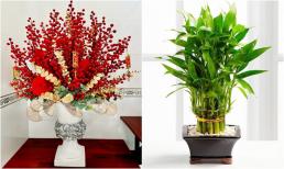 Tết Ất Tỵ 2025: Đặt 6 loại cây phong thủy này trong phòng khách, cả năm may mắn, thịnh vượng, tài lộc đếm không xuể