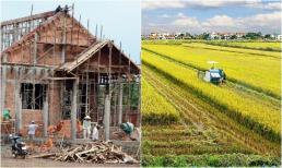 Năm 2025: Xây nhà trên đất nông nghiệp không lo bị phạt, bí quyết nằm ở giấy tờ này