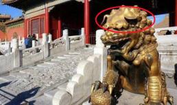 Đôi sư tử ở cung Càn Thanh, Tử Cấm Thành là biểu tượng quyền lực, nhưng tại sao chúng lại luôn cụp tai và trông có vẻ 'hèn nhát'?