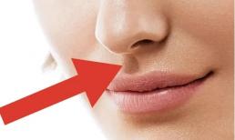 Nhận diện 4 kiểu khuôn mặt thiếu suy nghĩ: Tự ti, thiếu tập trung trong công việc và dễ vô tình xúc phạm người khác