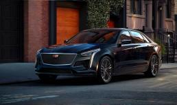 Tại sao xe màu đen có khả năng chống bụi bẩn kém nhất? Màu nào có khả năng chống bám bẩn tốt nhất? 