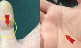 Nam hay nữ, sở hữu 4 đặc điểm này trong lòng bàn tay, xin chúc mừng, bạn đích thị là 'số hưởng', không tỷ phú cũng đại gia