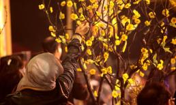 Hái lộc đầu năm phải nhớ điều này để không phạm kiêng kỵ, rước tài lộc và may mắn về nhà