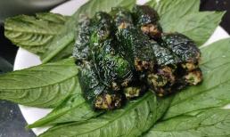 Loại lá cuốn chả thơm ngon gấp 10 lần lá lốt, chín thơm bổ dưỡng