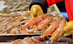 Nơi có sản lượng tôm nhiều nhất cả nước thuộc tỉnh nào?