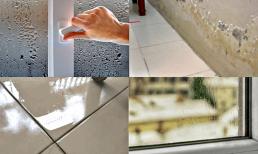 Mưa nồm 'tấn công', làm ngày mẹo này, đảm bảo nhà khô thoáng không sợ nấm mốc, mùi hôi 