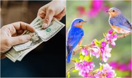 Sau Lập Xuân: 3 việc 'đại kỵ' cần tránh để tiền tài vững bền suốt năm, đó là những việc gì?