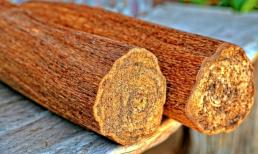 Đây là loại gỗ đắt nhất thế giới được mệnh danh là 'vàng xanh', giá cao ngất ngưởng lên đến 20 tỷ đồng/kg, giới thượng lưu tranh nhau săn lùng