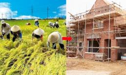 Chuyển đất trồng lúa sang đất ở trái phép bị phạt bao nhiêu tiền năm 2025?