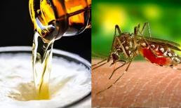 Tôi phải làm gì nếu có quá nhiều muỗi ở nhà? Bạn chỉ cần một chai nhựa, cả suốt mùa hè không còn muỗi