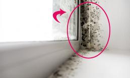 Cách tẩy nấm mốc trên tường xuất hiện vào mùa xuân, mách bạn mẹo nhỏ, tường sạch bong trong ít phút