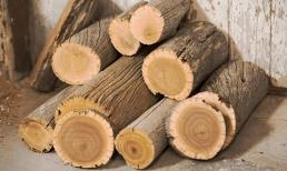 Loại gỗ quý hiếm có lõi chảy ra 'vàng lỏng', được bán với giá 160 triệu đồng/kg, đắt nhất nhì thế giới