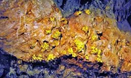 Tỉnh nào nắm giữ trữ lượng vàng lớn nhất cả nước?