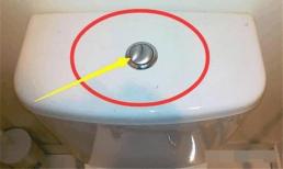 Tại sao lại có hai nút bấm trên bồn cầu? Bí mật của nút xả bồn cầu là gì