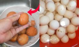 Rửa trứng trước khi cho vào tủ lạnh có nên hay không? Nghe Tiến sĩ giải thích để tránh sai lầm