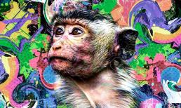 Cuối tuần này, top 3 con giáp vô cùng vượng phát, của cải tới tấp ùa về, làm gì cũng hanh thông suôn sẻ