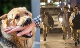 4 giấc mơ 'cảnh báo' kẻ xấu đang cận kề, bạn nên cẩn thận kẻo gặp tai ương trong thời gian tới