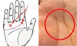 Sở hữu điểm vàng này trong lòng bàn tay, tiền bạc không thiếu, tha hồ hưởng phúc