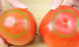Làm thế nào để nhận biết cà chua đã được tiêm hormone? Hãy học những mẹo lựa chọn này