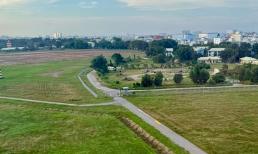 Hà Nội năm 2025: Chi tiết bảng giá đất nông nghiệp trồng lúa nước, trồng cây hàng năm