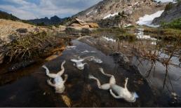 Con người có thể sống được bao lâu trên Trái Đất nữa? Bạn có chấp nhận được thời gian mà các nhà khoa học ước tính không? 