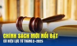 Những chính sách mới quan trọng bắt đầu có hiệu lực từ ngày 1/3/2025