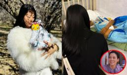 Sao Việt 1/3: Nam Thư đã bí mật sinh con? Một nữ diễn viên Việt nổi tiếng gặp tai nạn giao thông