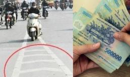 Vạch xương cá là gì? Mức phạt khi vi phạm vạch xương cá dành cho ô tô, xe máy mới nhất 2025